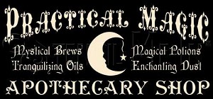 1377 * Practical Magic Halloween Stencil 11.25x24 