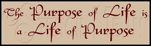 1664 * Purpose Of Life 7.25x24 