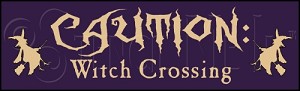 1838 * Witch Crossing Halloween Stencil 7.25x24 