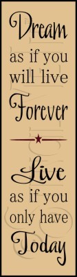 2237 * Dream Forever Live Today 5.5x20 