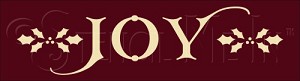 2352 * Joy 3.5x12 