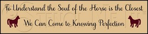 2455 * Soul Of The Horse 5.5x24 