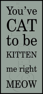 2630 * Kitten Me 5.5x12 