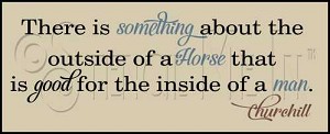 2776 * The Outside Of A Horse 7.25x18 