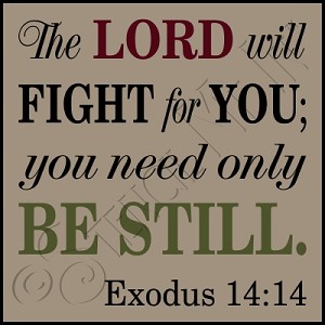 2898 * The Lord Will Fight For You 11.25x11.25 