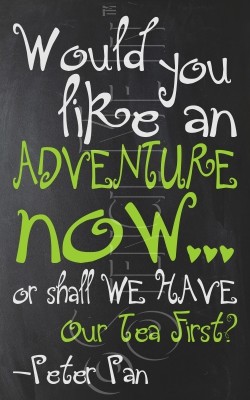 2927 * Would You Like An Adventure Now 11.25x18 