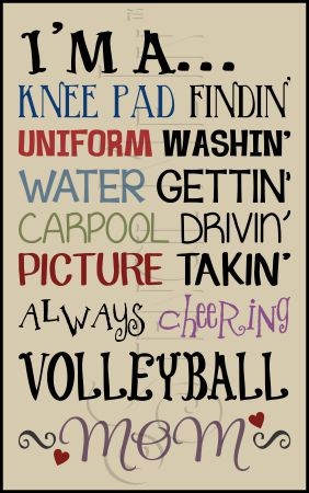 3129 * Volleyball Mom 11.25x18 