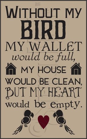 3192 * Without My Bird Stencil 11.25x18 