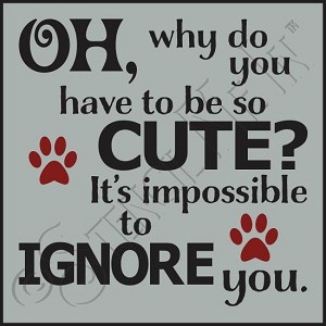 3203 * It's Impossible To Ignore You Dog Stencil 11.25x11.25 
