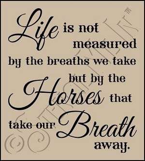 3595 * The Horses That Take Our Breath Away Stencil 18x20 