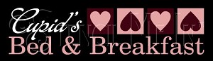 3824 * Cupid's Bed & Breakfast Valentine Directional Stencil 