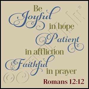 556 * Joyful Patient Faithful 11.25x11.25 
