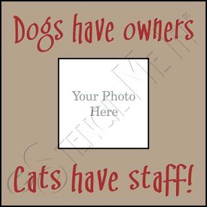 963 * Cats Have Staff Frame Stencil 